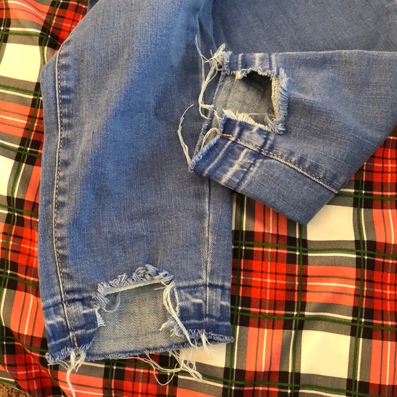 Denim - Picture 3 of 3